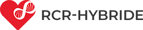 RCR Hybride Logo